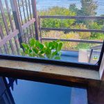 かけ流し温泉付き中古戸建・別荘・旅館・民泊・レストラン